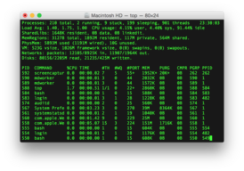 Скриншот программы Terminal