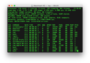 برنامه‌ی ترمینال در حال اجرای top در مک‌او‌اس ۲.۲