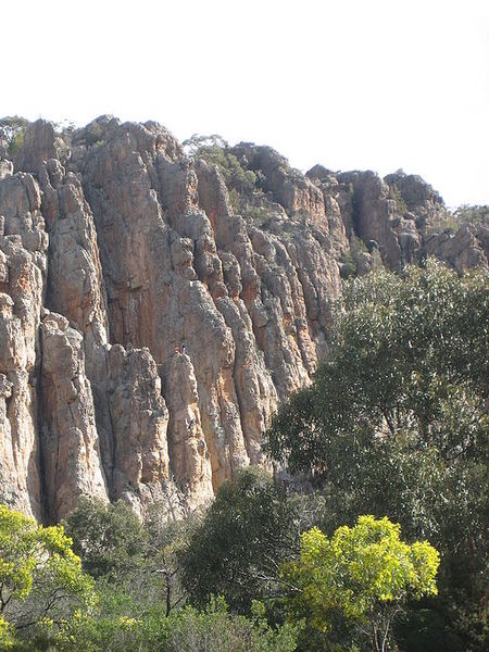 File:Arapiles Organ Pipes.JPG