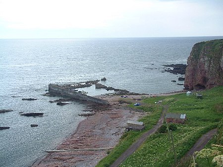 Auchmithie Harbour - geograph.org.uk - 24546.jpg