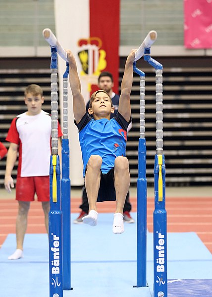 File:Austrian Future Cup 2018-11-23 Training Afternoon Parallel bars (Martin Rulsch) 0336.jpg