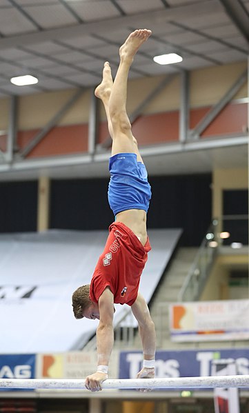 File:Austrian Future Cup 2018-11-23 Training Afternoon Parallel bars (Martin Rulsch) 0751.jpg