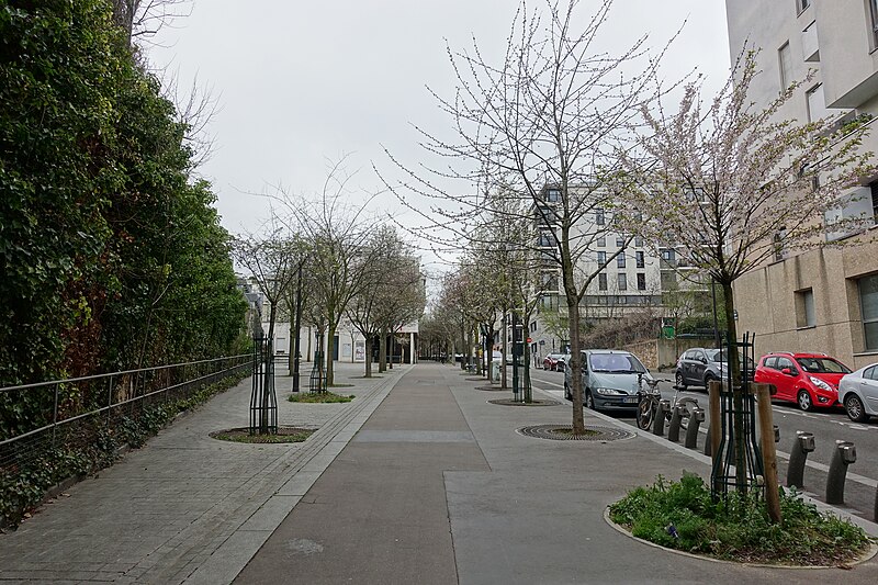 File:Avenue de la Sibelle (33490294826).jpg