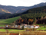 BDH-Klinik Elzach