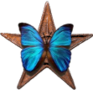 Řád modrého motýla mi za rozšíření článku Pavouci udělil Petr Karel