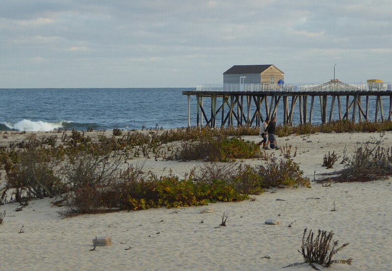 File:Belmar Fishing Club Pier LHCollins 2015 v2.jpg