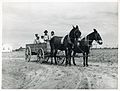 Ben Turner and family in their wagon with mule team. Flint R... (3109740135).jpg