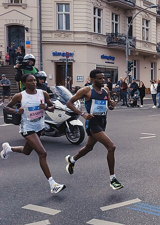 <span class="mw-page-title-main">2023 Berlin Marathon</span> 42.195 km (26.2 mi) race in Germany