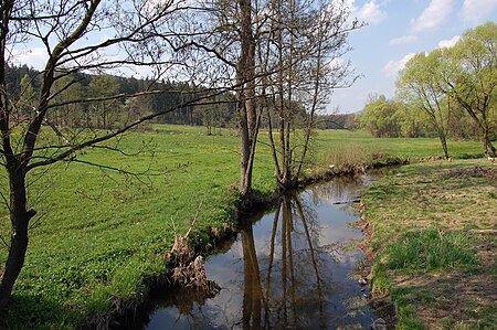 Bild Fluss Schwarzach Höll