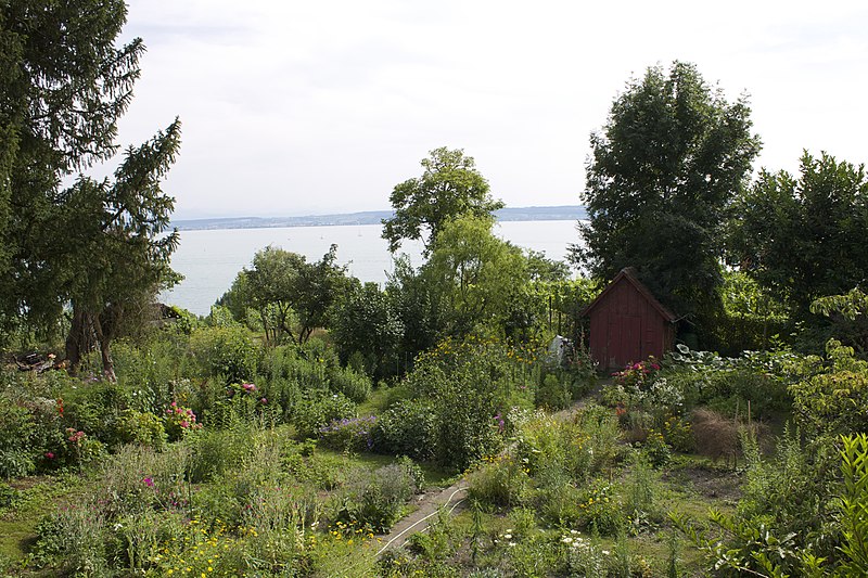 File:Bodensee, Lac de Constance - panoramio (293).jpg