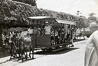 Von Maultieren gezogene Straßenbahn 1951 im brasilianischen Limoeiro