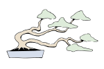 Bonsai windgepeitschte Form.svg