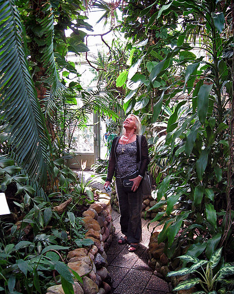 File:Botaniska trädgården Lund - 2007.jpg