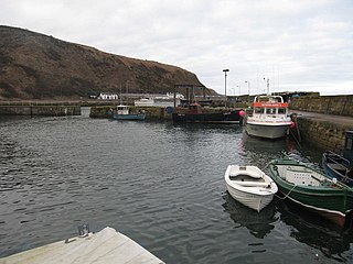 <span class="mw-page-title-main">Burnmouth</span> Human settlement in Scotland