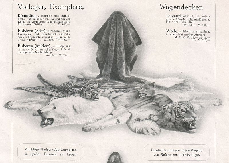 File:C. A. Herpich Söhne, Berlin, Modewaren 1910 (Prospekt)17 Ausschnitt Vorleger.jpg