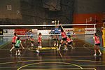 Miniatura para Club Voleibol Torrelavega