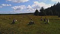 Cairn circles on Lakehead Hill in Dartmoor.