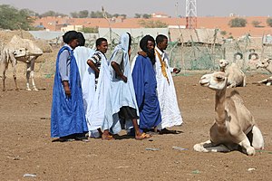Männer in Boubous am Kamelmarkt in Nouakchott, Mauretanien