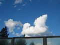 Suuri pilvi on viisto vallinharjamainen kumpupilvi, Cumulus castellanus.