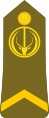Chad-Army-OR-5.svg