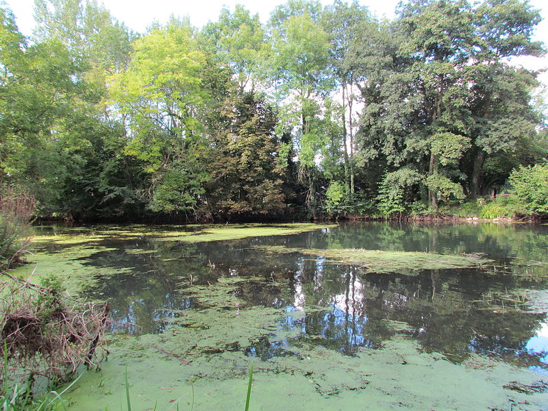 File:Chalandry en été la rivière.JPG