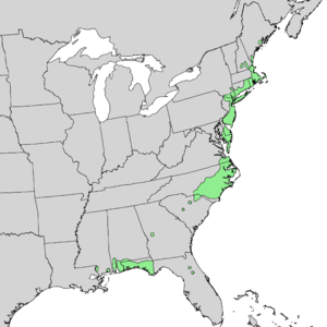 Chamaecyparis thyoides range map 2.png