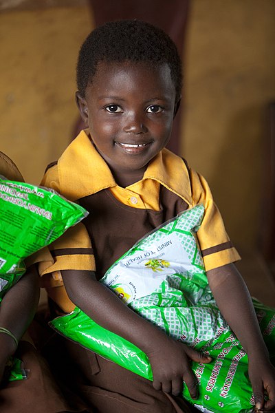 ファイル:Children received ITNs during a school distribution in Ghana (14011793910).jpg