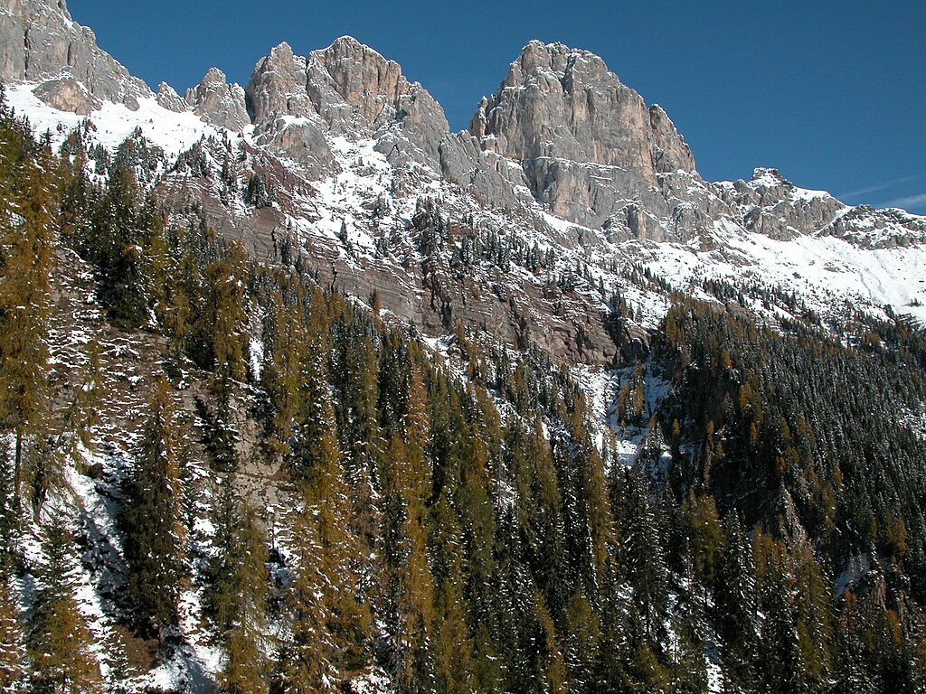 A picture of Alpine mountains and forests.