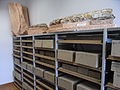 Classer, conserver au Centre de conservation d’Histoire Naturelle Muséum Cuvier de Montbéliard.