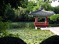 Botanical Gardens on Jeju island