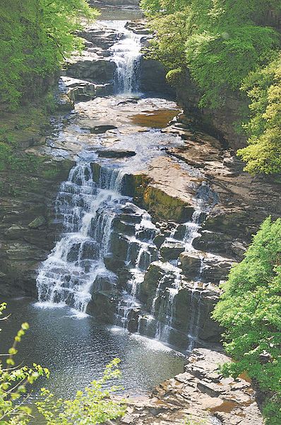 File:Corra Linn Falls of the Clyde above New Lanark (3538769594).jpg