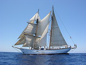 Corwith Cramer makalesinin açıklayıcı görüntüsü