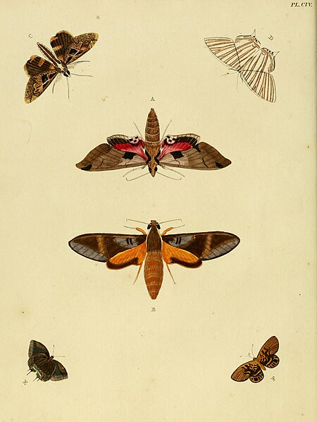 Tập_tin:Cramer&Stoll-uitlandsche_kapellen_vol._2-_plate_104.jpg