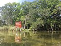 Thumbnail for Crystal River National Wildlife Refuge