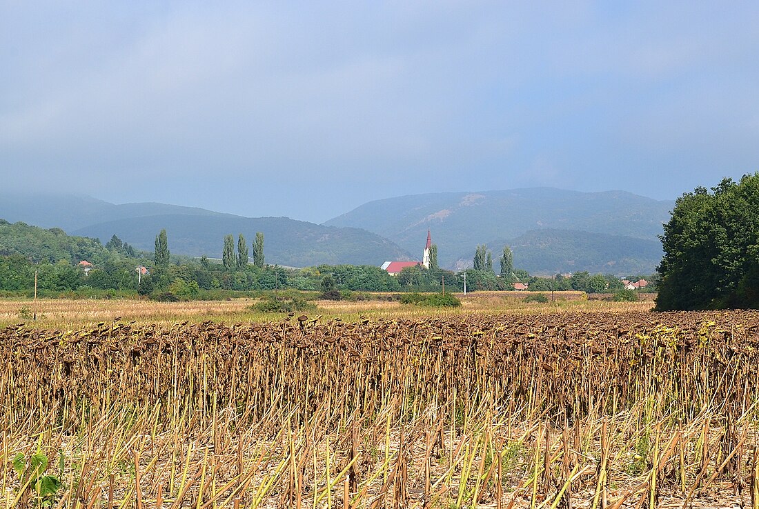 Districtul Mezőkövesd