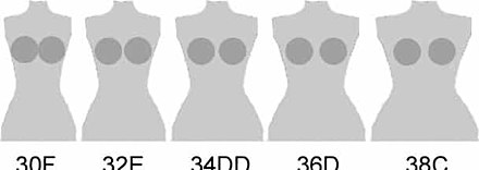 Breast Size Distribution Chart