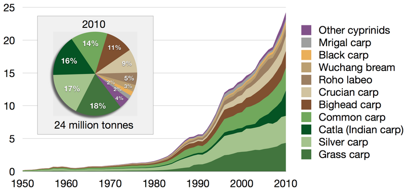 File:Cyprinids aquaculture production.png