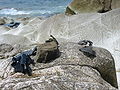 Debris from the Mulheim shipwreck at Land's End