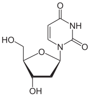 Deoxyuridín