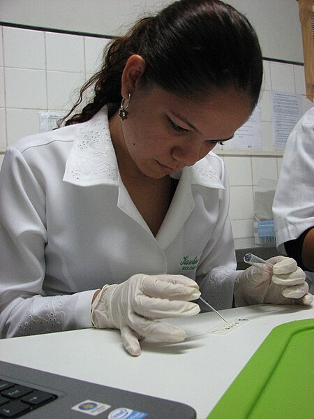 File:Diagnóstico sorológico de calazar canino no Centro de controle de Zoonoses de Teresina.jpg