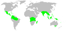 Distribution.tetrablemmidae.1.png 