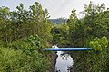 * Nomination Molongkolong, District Kudat, Sabah: Sungai Molongkolong, seen from the road bridge at Kg. Molongkolong. --Cccefalon 03:52, 7 August 2015 (UTC) * Promotion Good quality. --Vengolis 04:35, 7 August 2015 (UTC)