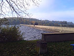 Doernthaler pond 4032.jpg