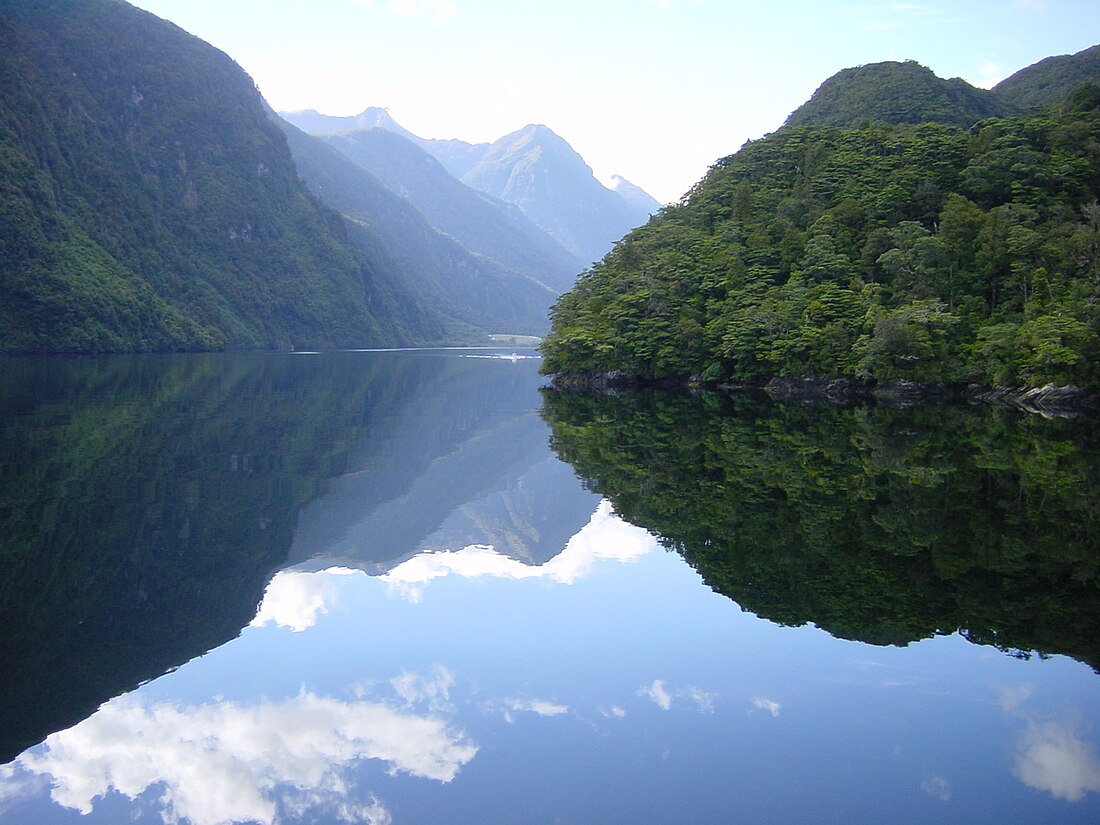 Doubtful Sound / Patea