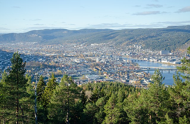 Foto einer Stadt, die an einem Gewässer liegt und an das sich Waldgebiete anschließen.