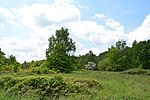 Vorschaubild für Drover Heide (Vogelschutzgebiet)