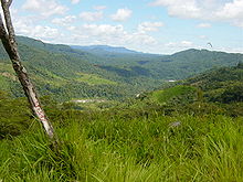 Subtropical rainforest in the Sangay National Park