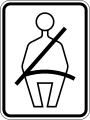 R7-5 Seat belt