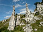 Eselsburger Tal (Vogelschutzgebiet)