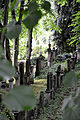 Essen-Steele, Jewish Cemetery Hiltrops Kamp6.JPG